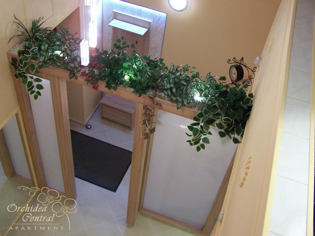 Orchidea Central Apartment Budapest Bagian luar foto